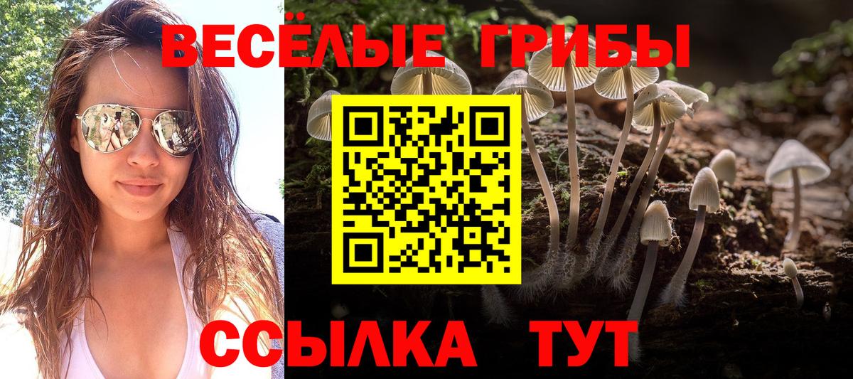 Псилоцибиновые грибы мухоморы Мценск