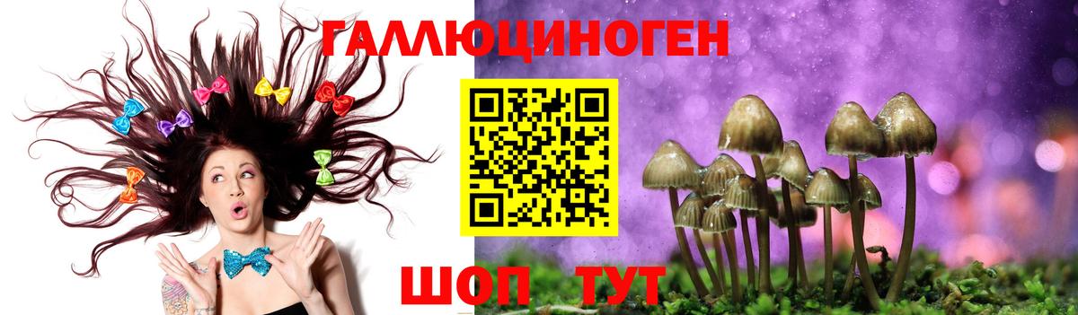 Псилоцибиновые грибы Psilocybine cubensis  Псилоцибиновые грибы мицелий  Вход с VPN  Мценск 